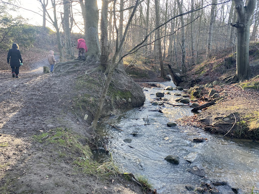 Stensby Møllebæk (Mallings Kløft)