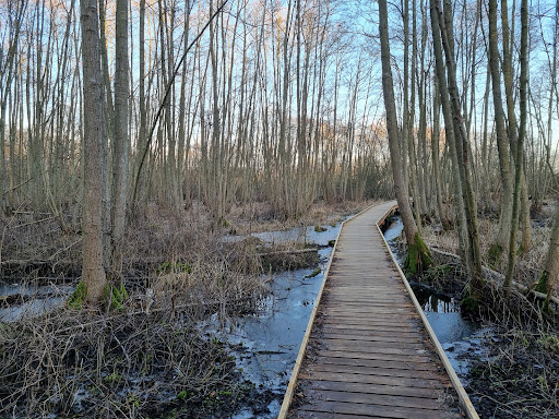 Udsigtsplatform ved Ågabet, Arresø Kanal