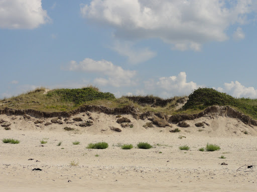 Stængehus Strand, fribadestrand