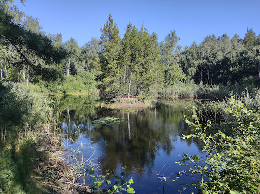 Vaniljekranssø