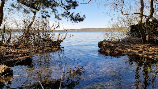 Nedkastningspladsen ved Madum Sø