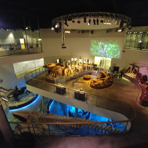 Naturama