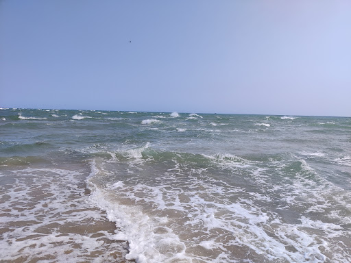 Grenen