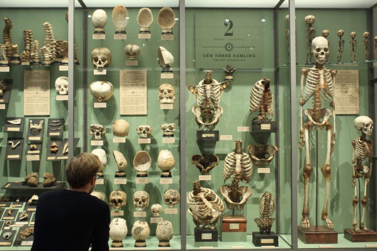 Medicinsk Museion