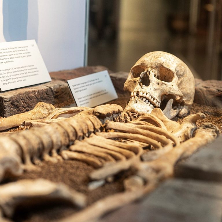 De bedste Museer i Holstebro